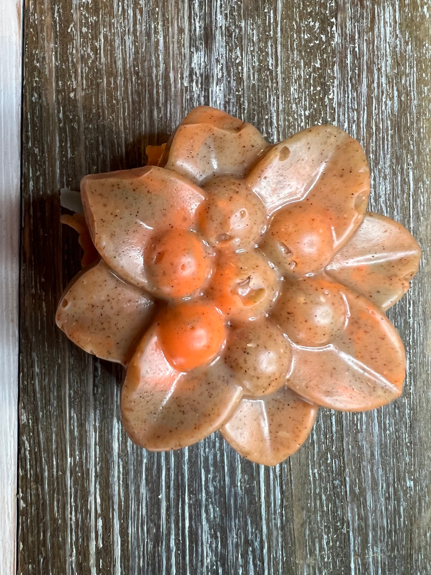 Assorted Shaped Soaps
