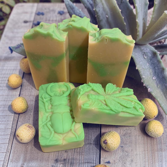 Bergamot & Aloe