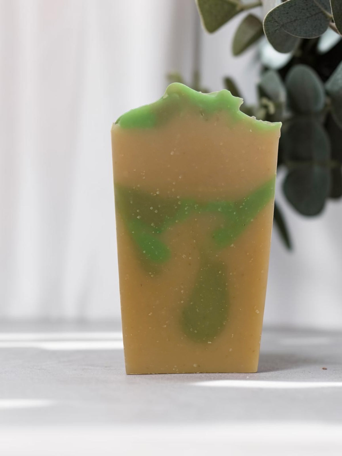 Bergamot & Aloe
